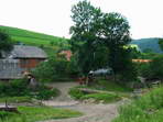 ve vesnici